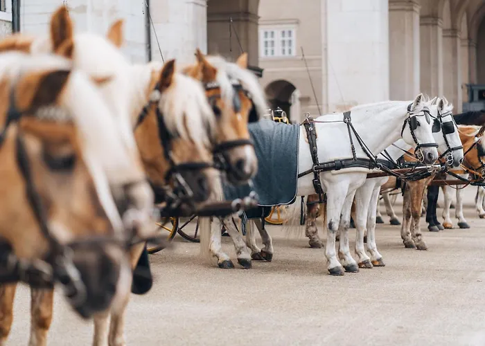 Goldener Hirsch, A Luxury Collection Hotel, Solnohrad